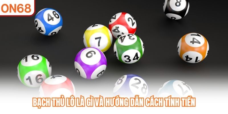 Bạch thủ lô là gì và hướng dẫn cách tính tiền