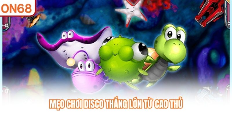 Mẹo chơi Disco thắng lớn từ cao thủ
